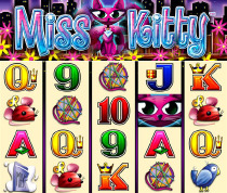Miss Kitty